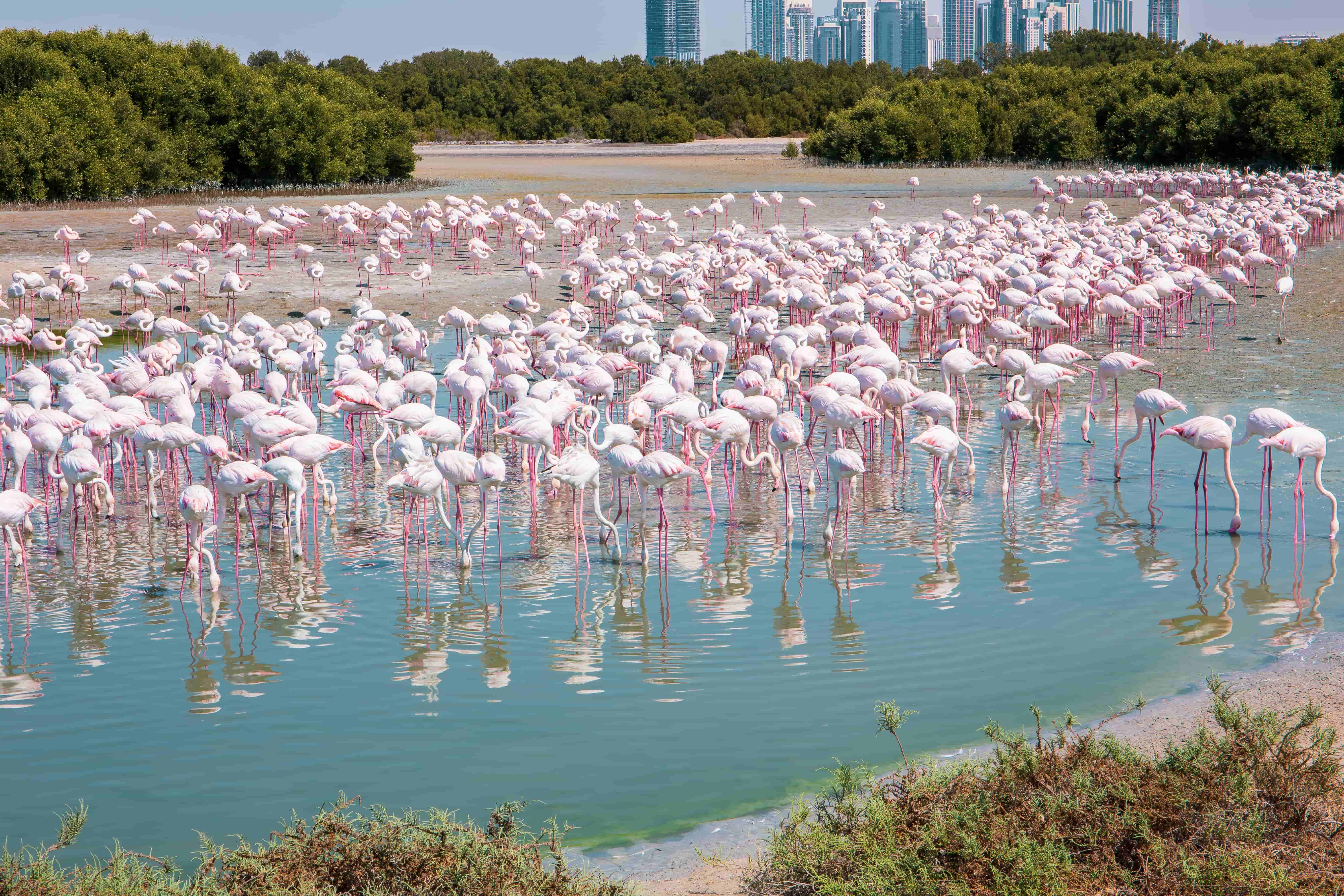 Get up close with nature and wildlife